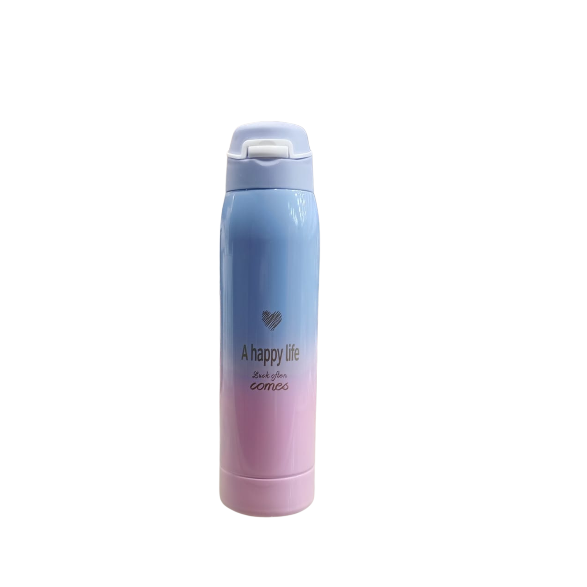 Gradient Insulated Water Bottle