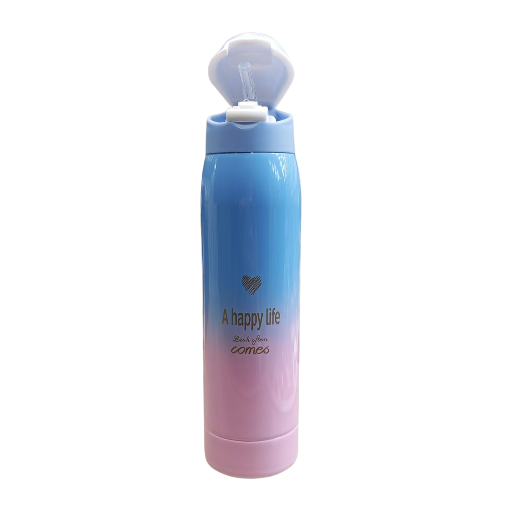 Gradient Insulated Water Bottle