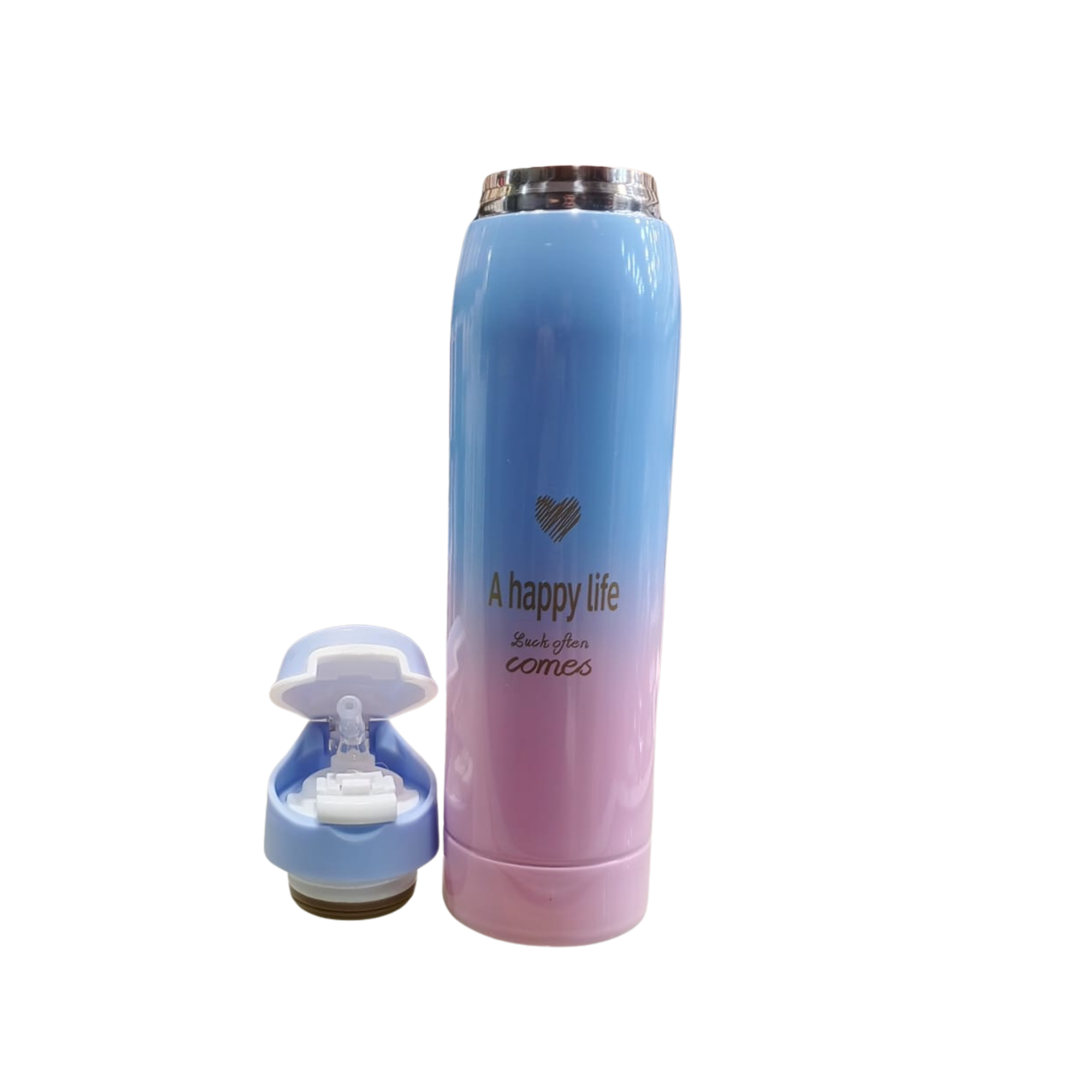 Gradient Insulated Water Bottle